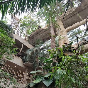 Apr. 2025 - Mundo Maya - Eagle + Macaw + Quetzel Exhibits