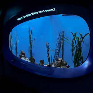 "Want to play Hide and Seek?"