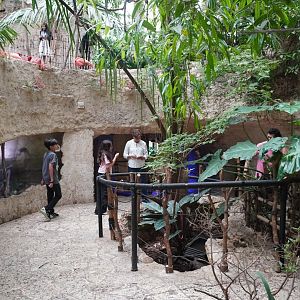 Apr. 2025 - Mundo Maya - House of Zots