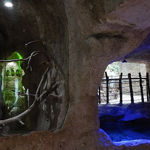 Apr. 2025 - Mundo Maya - House of Zots - Spectacled Owl Exhibit