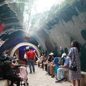 Apr. 2025 - Mundo Maya - Cenote