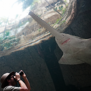 Apr. 2025 - Mundo Maya - Cenote + a Zoochatter