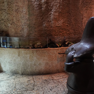 Apr. 2025 - Mundo Maya - Axolotl Exhibit