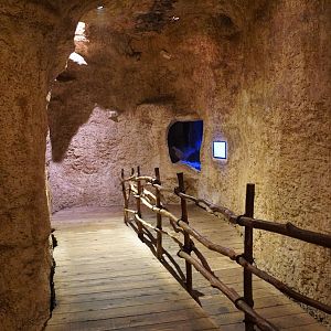 Apr. 2025 - Mundo Maya - Lionfish/Spotted Eel Tank