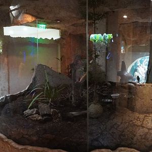 Apr. 2025 - Mundo Maya - Los Petenes