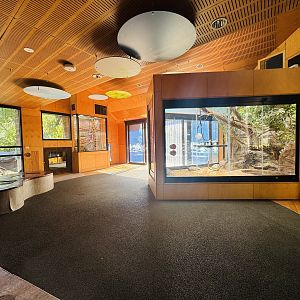 Indoor reptile building