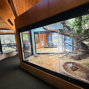 Indoor reptile building