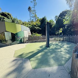 Aldabra Giant Tortoise enclosure