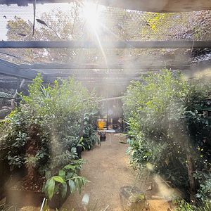 Blue and Gold Macaw enclosure