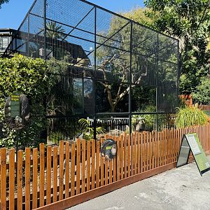 Komodo dragon outdoor enclosure