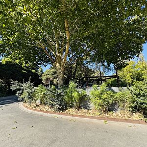 Red panda enclosure #1