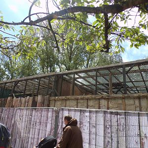 Empty primate enclosures 7.7.24