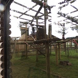 Francois langur enclosure 7.7.24
