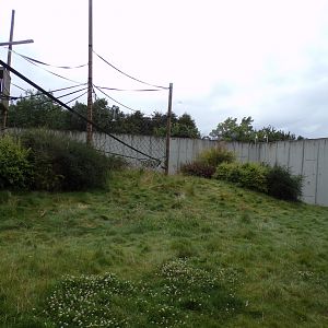 Chimpanzee enclosure 7.7.24