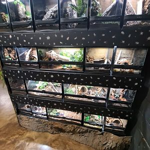 Arthropod Wall (4/19/25)
