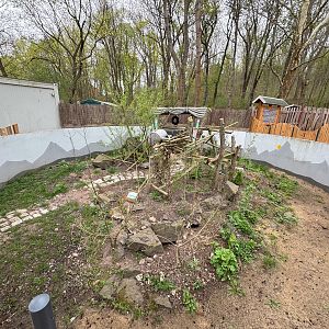 Enclosure for domestic ferret (Mustela putorius f. furo)