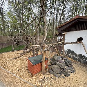 Enclosure for North American porcupine (Erethizon dorsatum)