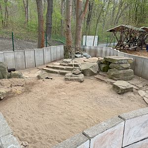 Enclosure for Indian crested porcupine (Hystrix indica)