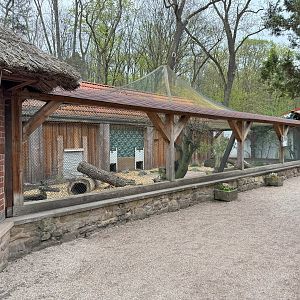 Enclosure for Lowland paca (Cuniculus paca)