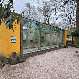 Enclosure for Corsac fox (Vulpes corsac)