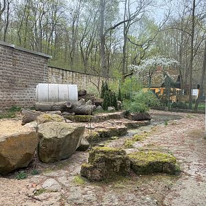 Enclosure for Corsac fox (Vulpes corsac)