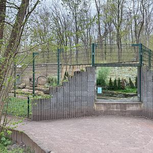Enclosure for Corsac fox (Vulpes corsac)