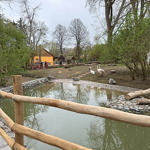Enclosure for Great white pelican (Pelecanus onocrotalus)