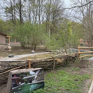 Enclosure for Great white pelican (Pelecanus onocrotalus)