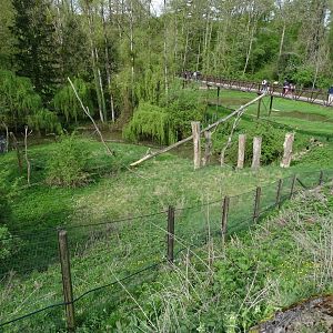 Lion-tailed Macaque and Binturong exhibit