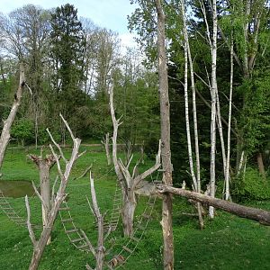 Lion-tailed Macaque and Binturong exhibit