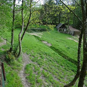 Malayan Tapir enclosure