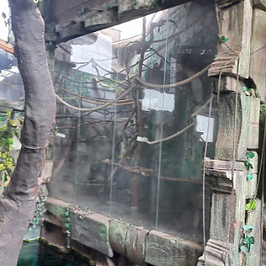 Empty howler exhibit - São Paulo aquarium