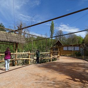 Terra australis aviary