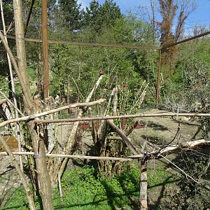 Terra australis aviary