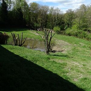 Greater rhea, South American tapir, Capybara and Alpaca exhibit