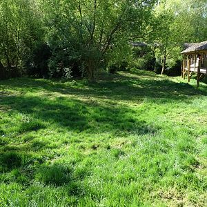 Giant anteater exhibit