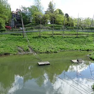 Celebes crested macaque (Macaca nigra) and Small-clawed otter (Aonyx cinereus) exhibit