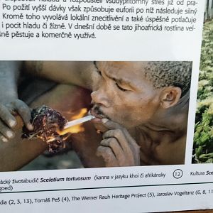 Educational material in the succulent plants Greenhouse