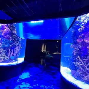 Overhead Tunnel Arch (4/19/25)