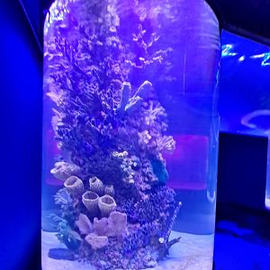 Overhead Tunnel Arch (4/19/25)