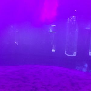 Large empty tank (4/19/25)