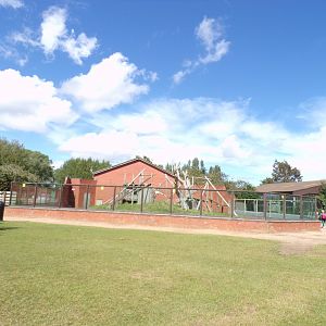 Empty enclosure (formerly holding Lope the gorilla) 7.7.24