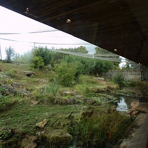 Snow leopard enclosure 7.7.24