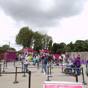 Queue into the zoo 7.7.24