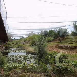 Snow leopard enclosure 7.7.24