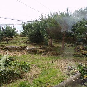 Snow leopard enclosure 7.7.24
