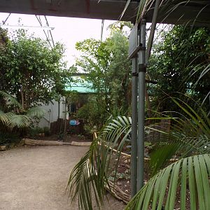 Butterfly and bird house 7.7.24