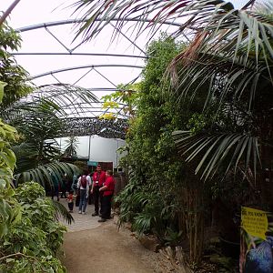 Butterfly and bird house 7.7.24