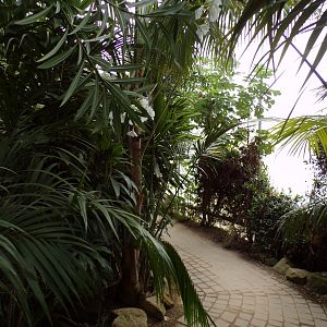 Butterfly and bird house 7.7.24