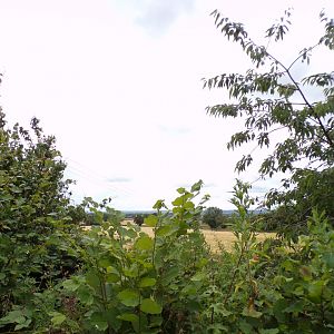 View outside of the zoo 7.7.24